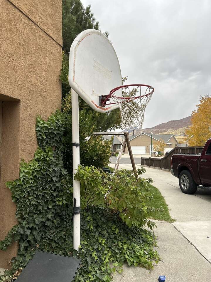 Basketball Stand And Hoop