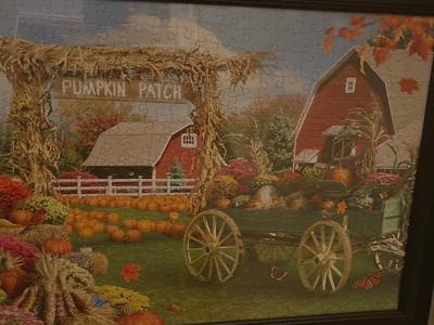Pumpkin Patch Framed Puzzle