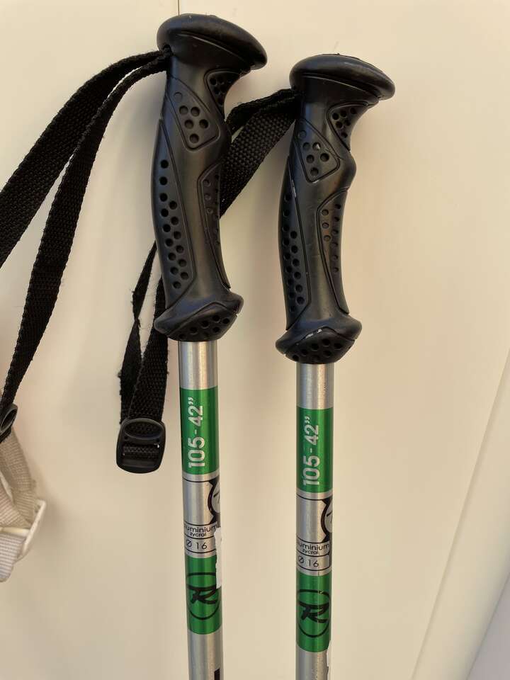 Aluminum Ski Poles - 42 Inches