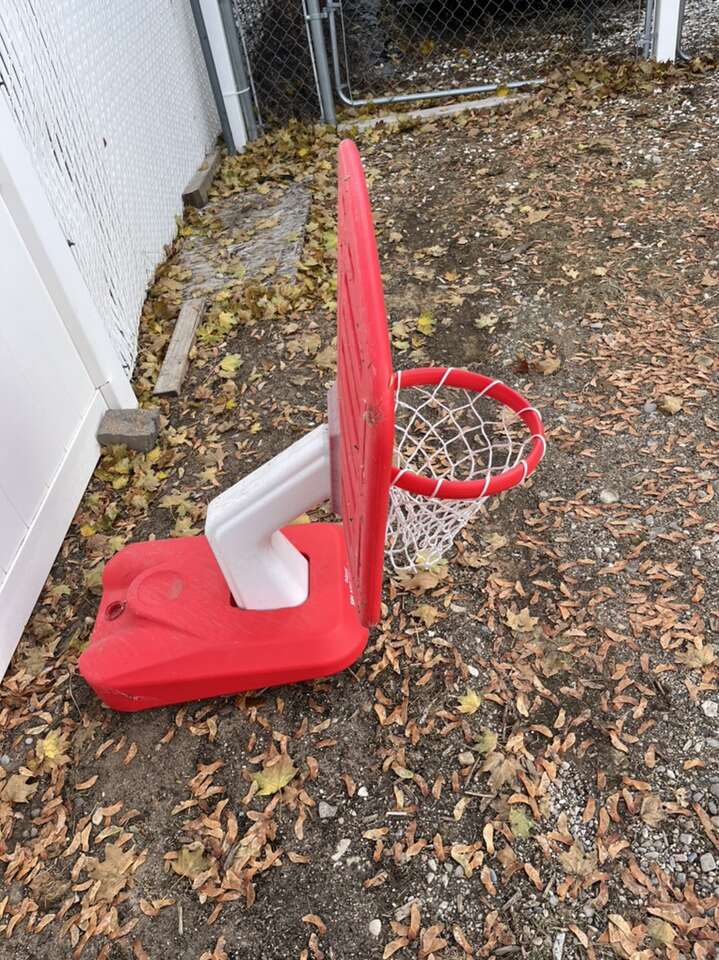 Poop Basketball Hoop