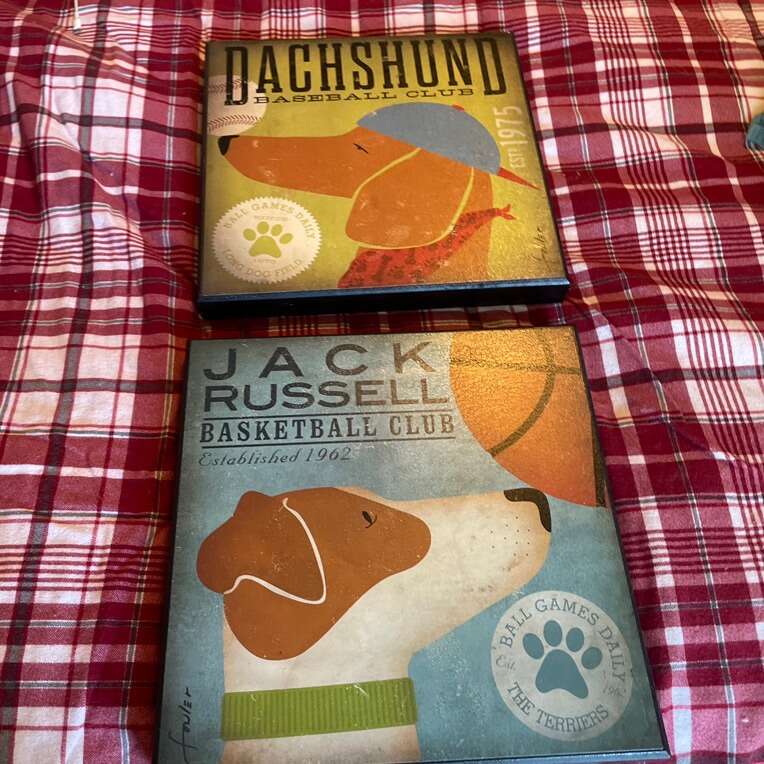 Baseball And Basketball Wall Decor