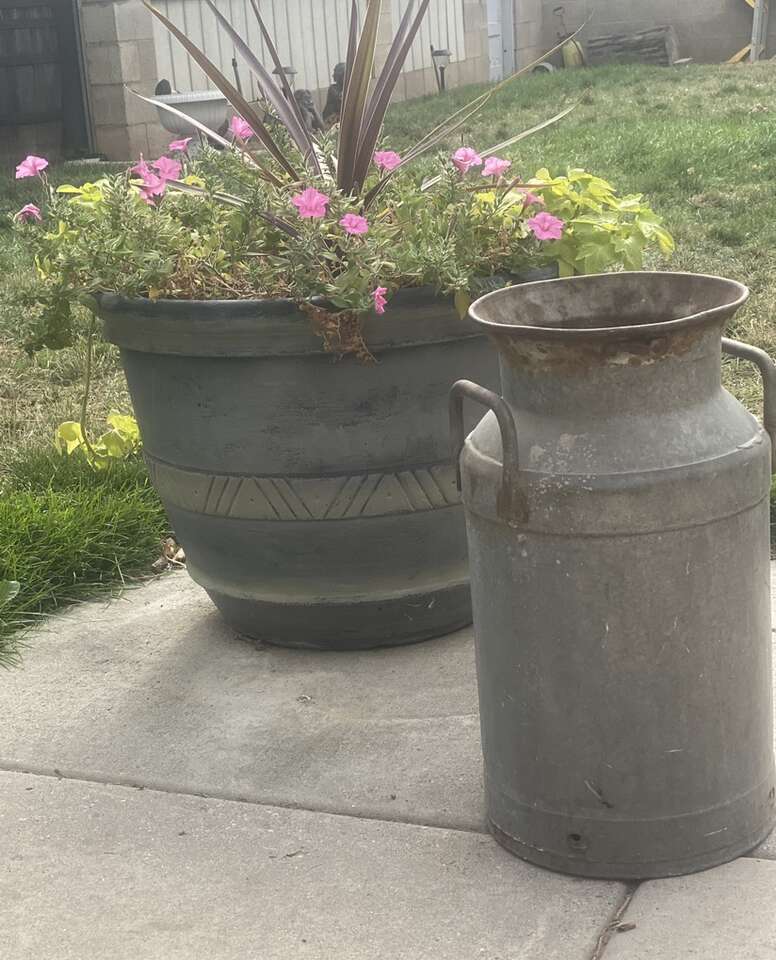 Large Vintage Milk Churn