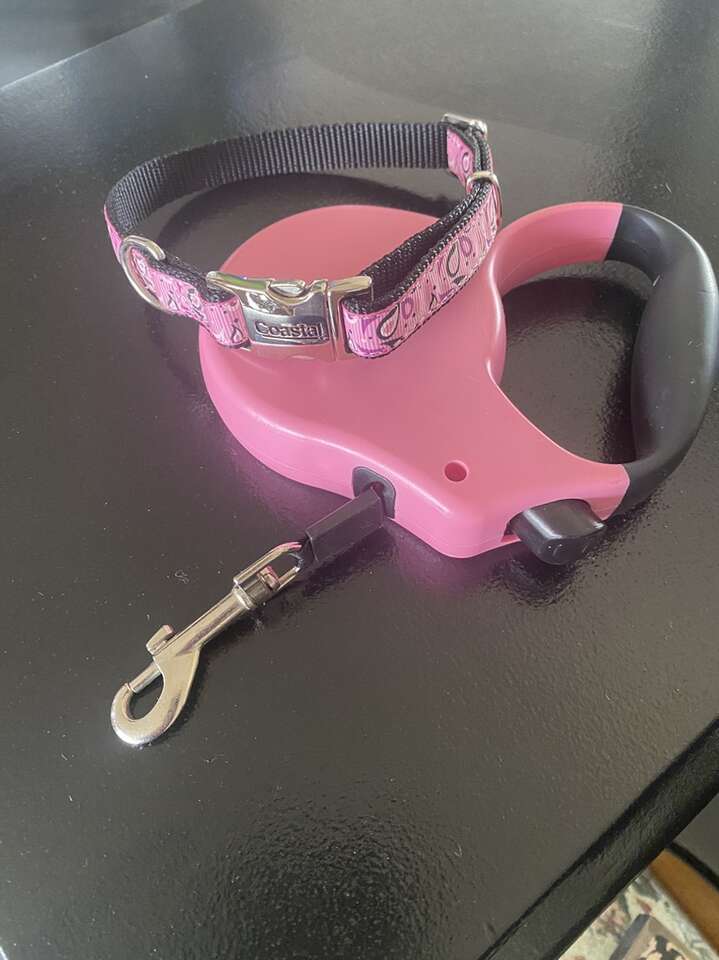 Pink Collar & Leash Combo- Small/Medium Size