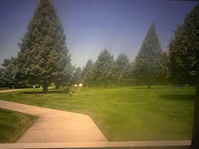 5 Burial Plots For Sale