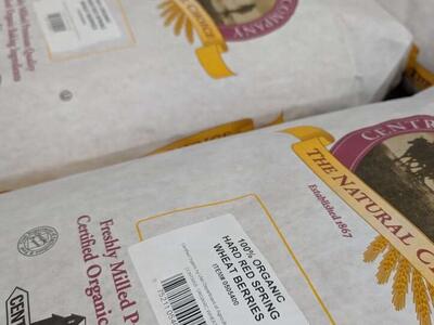 Hard Red Spring Wheat 50lb bag (Certified Organic)