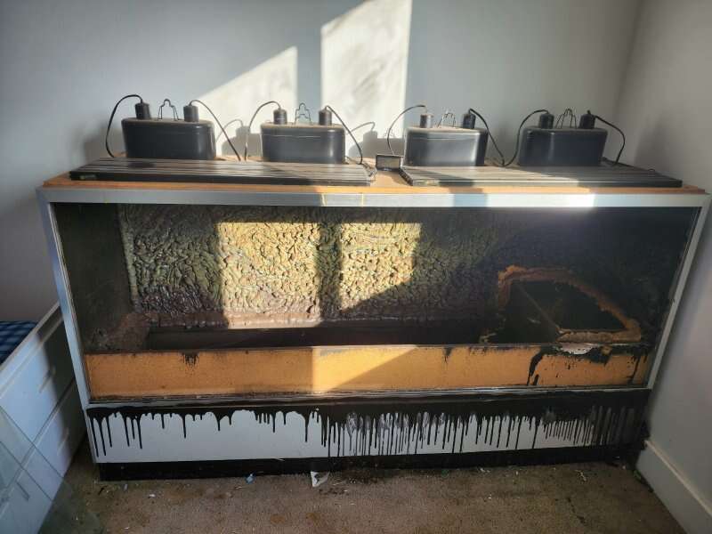 very large terrarium