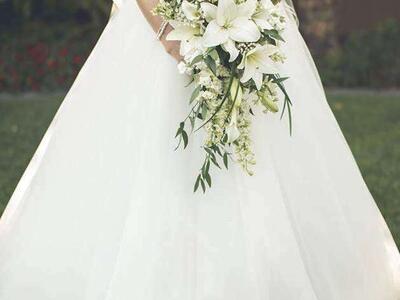 Jean and Jewel brand custom made, gorgeous Emery wedding dress/gown!