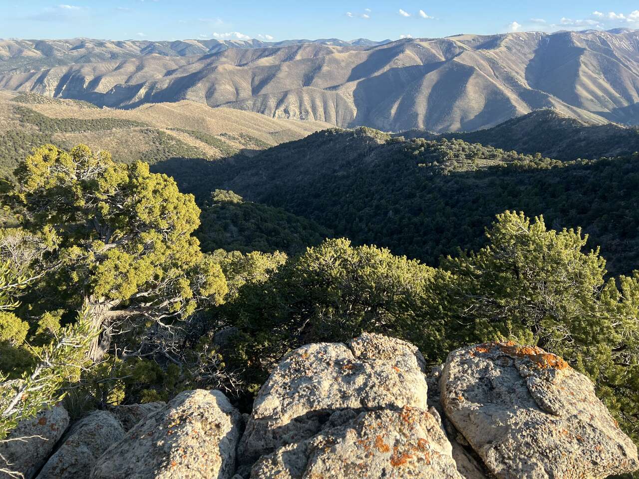 20 Acres on Top of Currant Creek Mountain