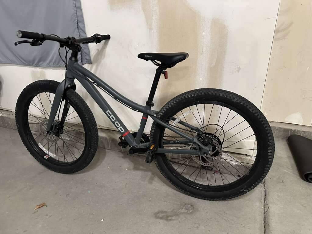 Rei fat best sale tire bike