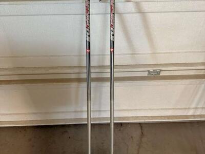 Rossinol Ski Poles