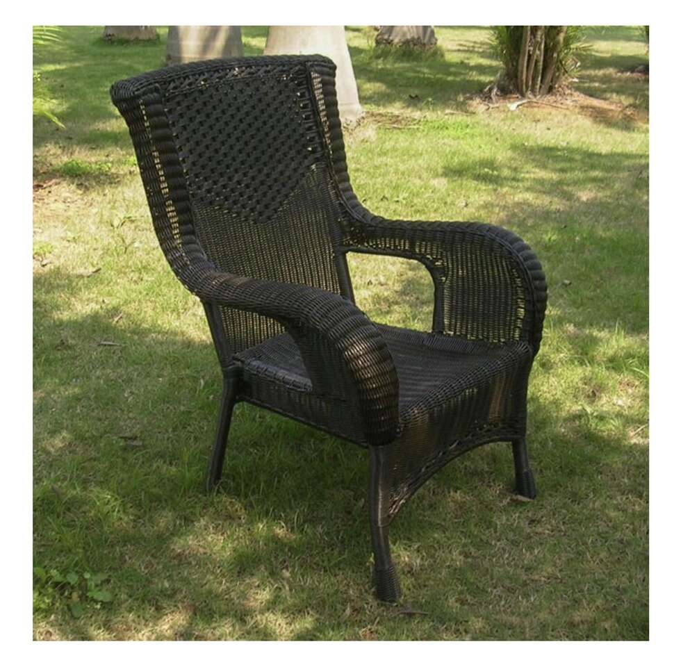 International Caravan Resin Wicker Dining Chair