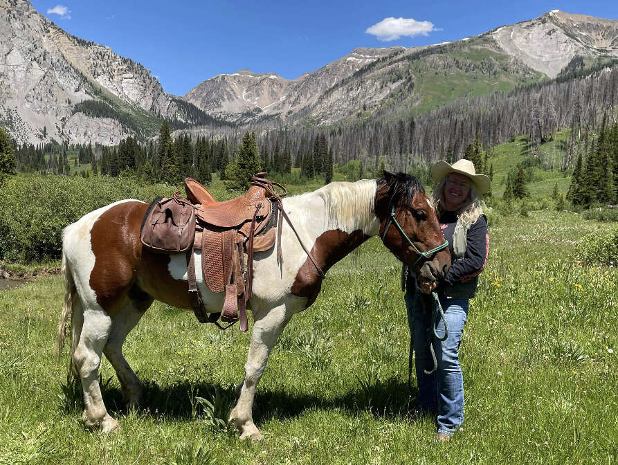 FANCY 2017 PINTO MUSTANG, READY FOR H… Livestock