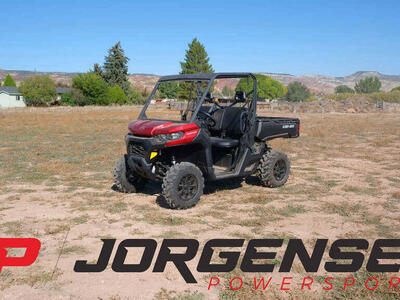2025 Can-Am Defender DPS HD10