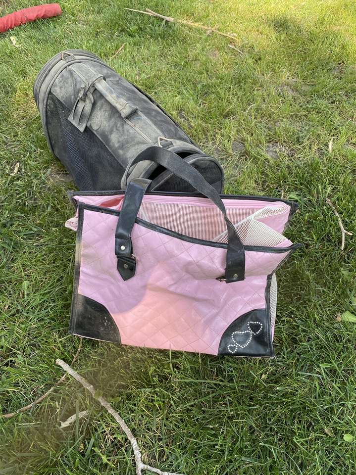 Pet carrier And Pet Purse