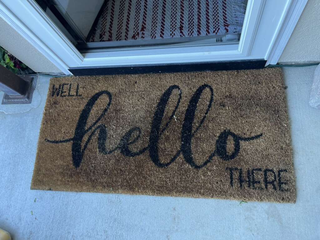 Well Hello There Welcome Mat 40” X 20”