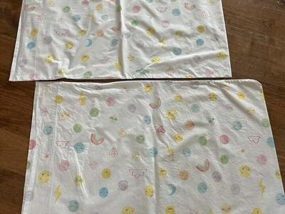 Pottery Barn Pillowcase Set Standard