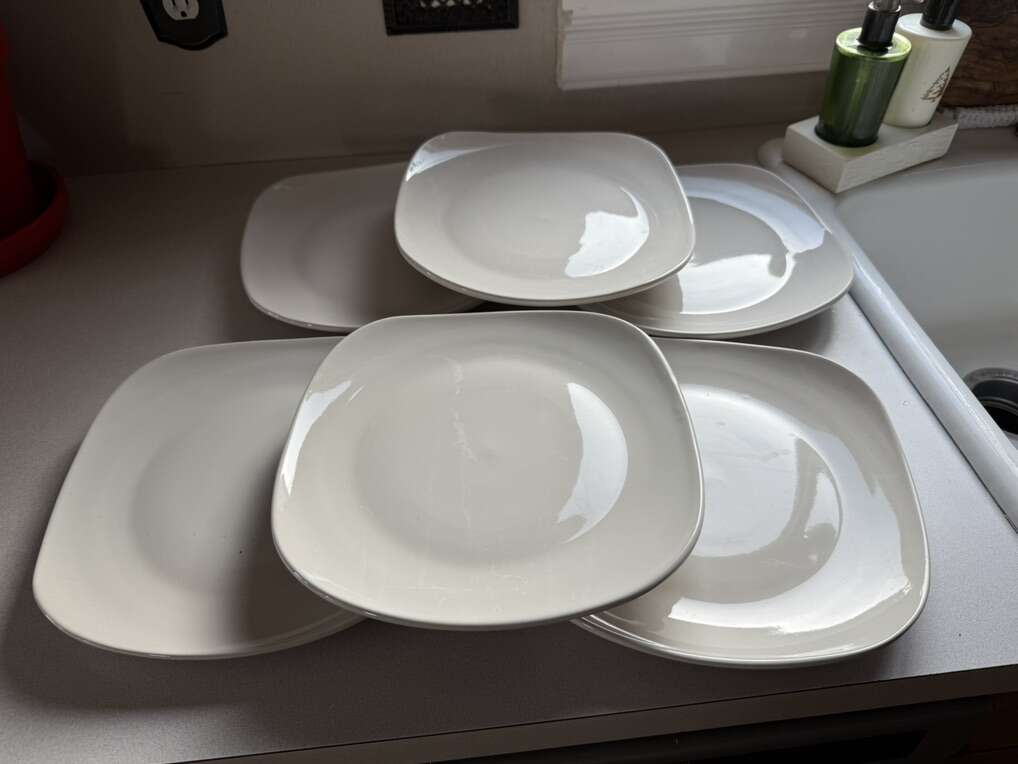 Royal Norfolk Set Of 6 Dinner Plates