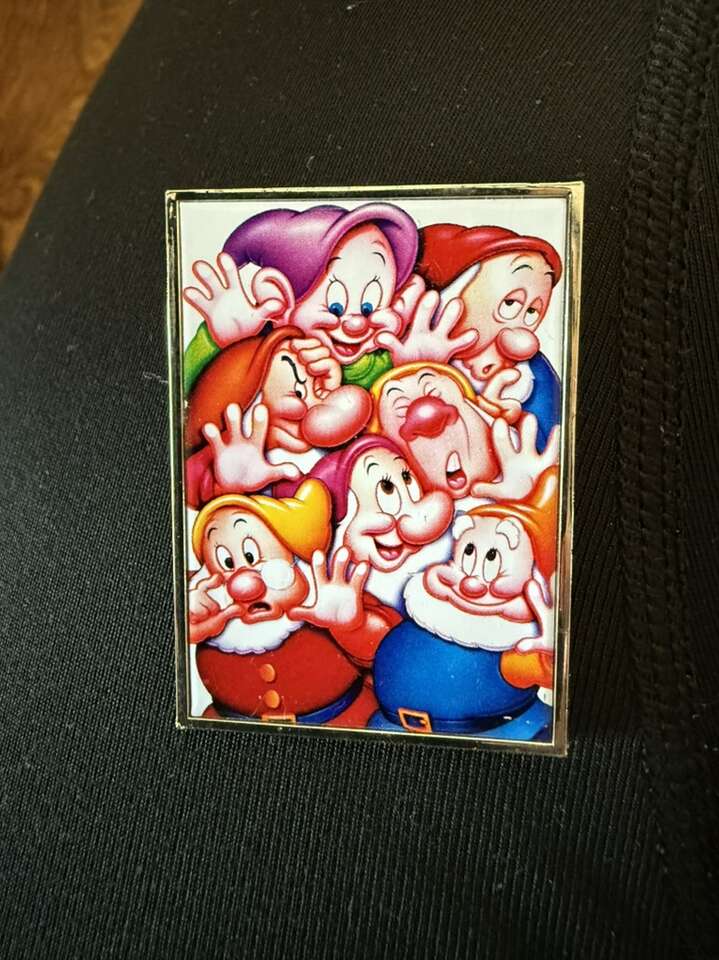 Disney Store Seven Dwarfs Pin