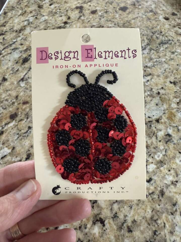 Vintage Ladybug Iron On applique 3