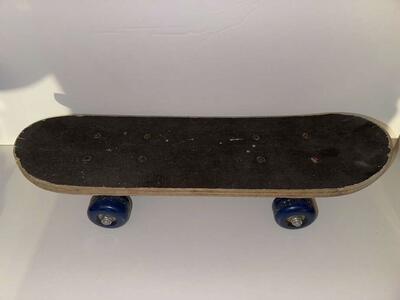 Small 17 Inch Skateboard Perfect For Dogs