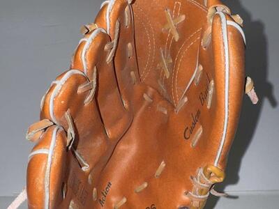 Twins Kool-aid Kirby Puckett Baseball Mitt Sign