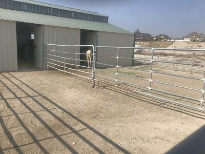 Stalls For Rent