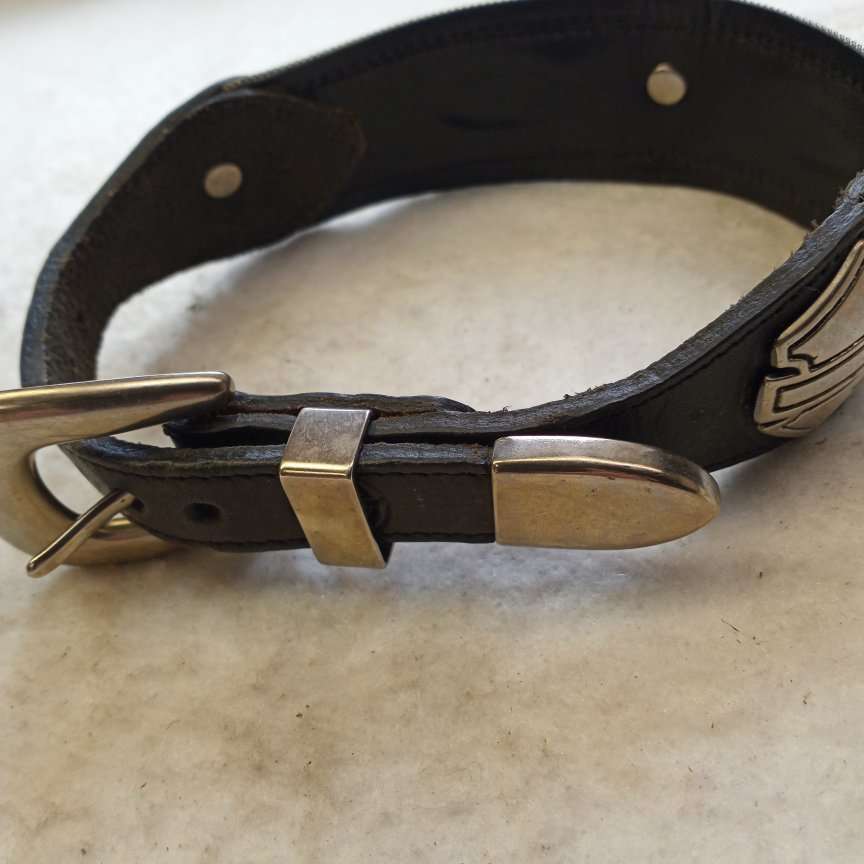 Leather Harley dog collar..new