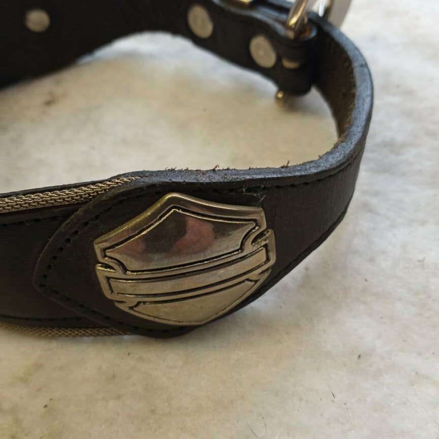 Harley Dog Collar