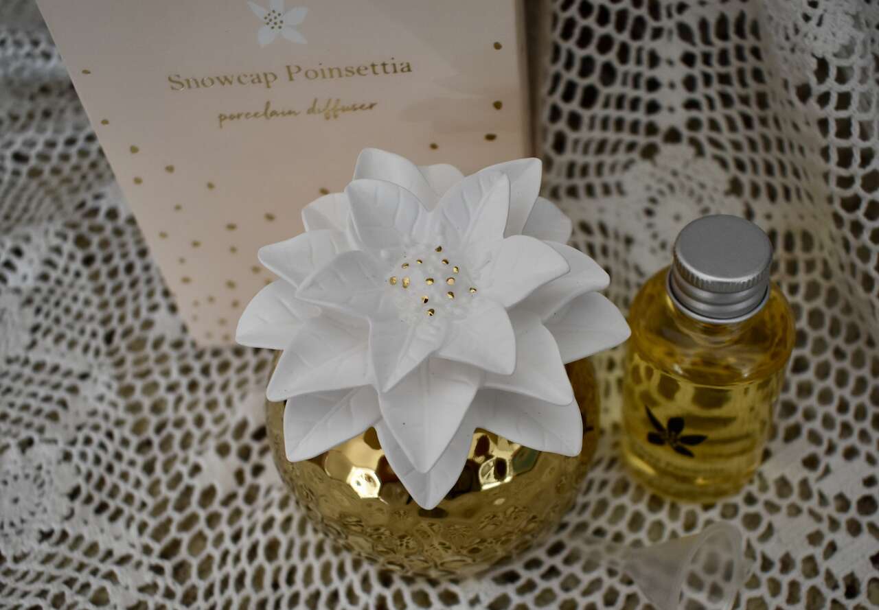 New In The Box - A Really Pretty Apothecary Guild Snowcap Poinsettia Porcelain Diffuser Set