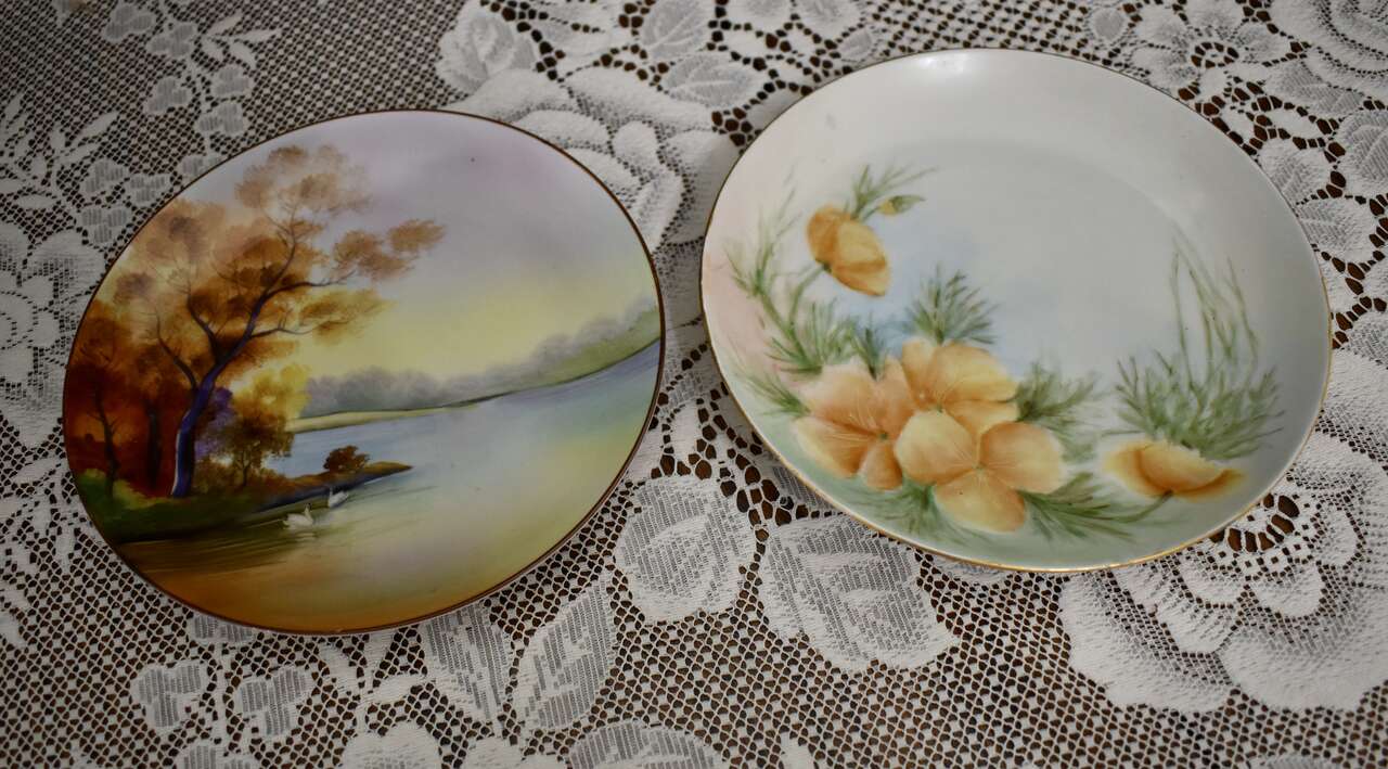 TWO DIFFERENT COLLECTIBLE 7 3/4 INCHES WIDE BEAUTIFUL DISPLAY PLATES WITH FLOWERS AND A LAKE SCENE