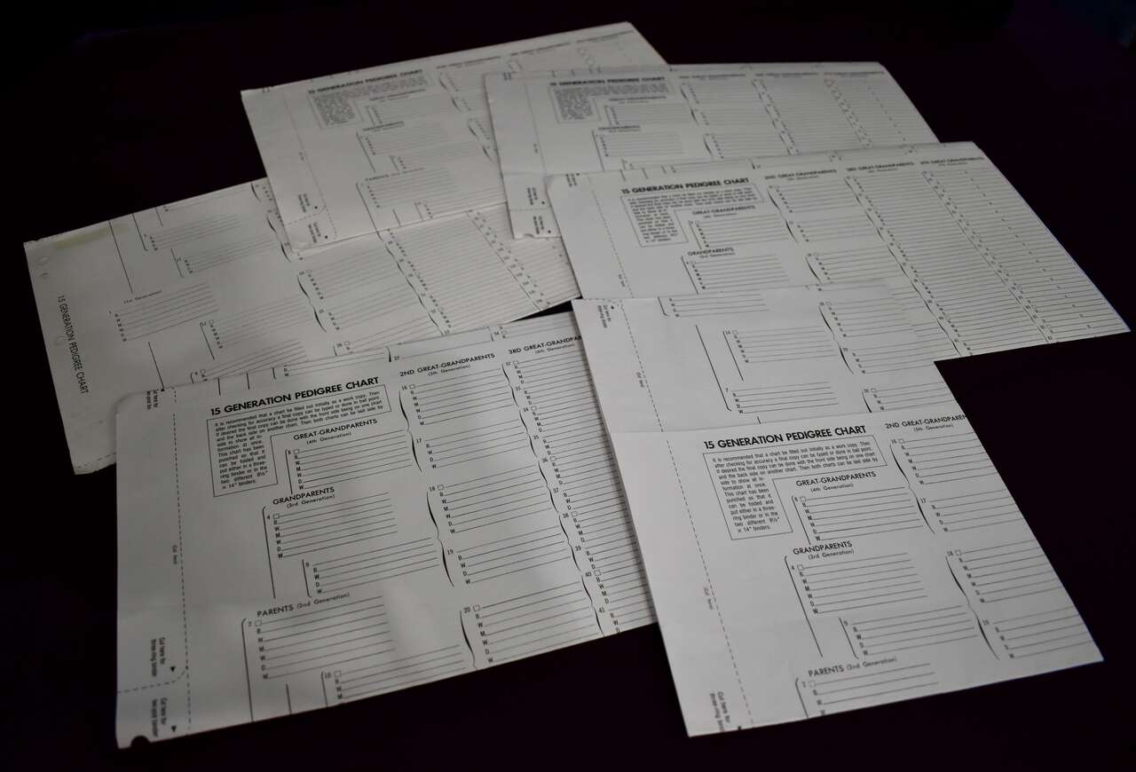 6 Separate Vintage 15 Generation Pedigree Charts - That Measure 25 Inches long X 27 Inches Wide - Unused