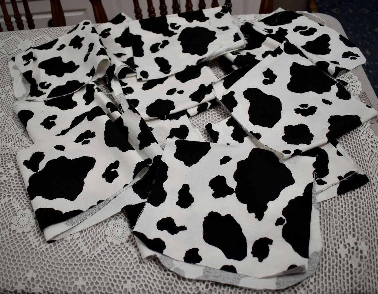 Several Pieces Of Cow Fabric In White With Black Spots Throughout For Making Fun Crafts