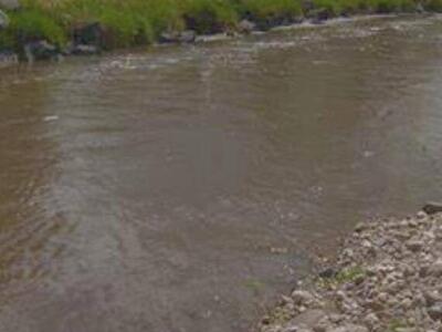 In Search Of Welby Jacob Water Shares