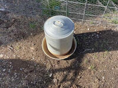 Bird Water Tank