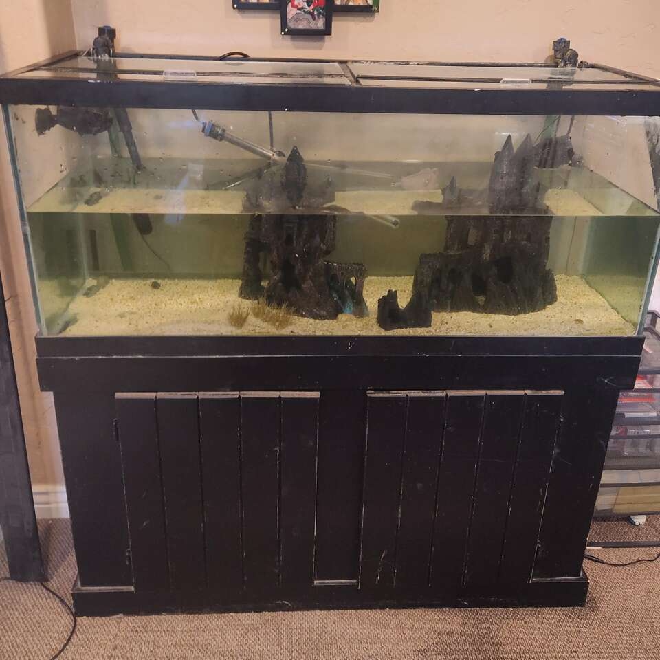 75 gallon fish tank Pets