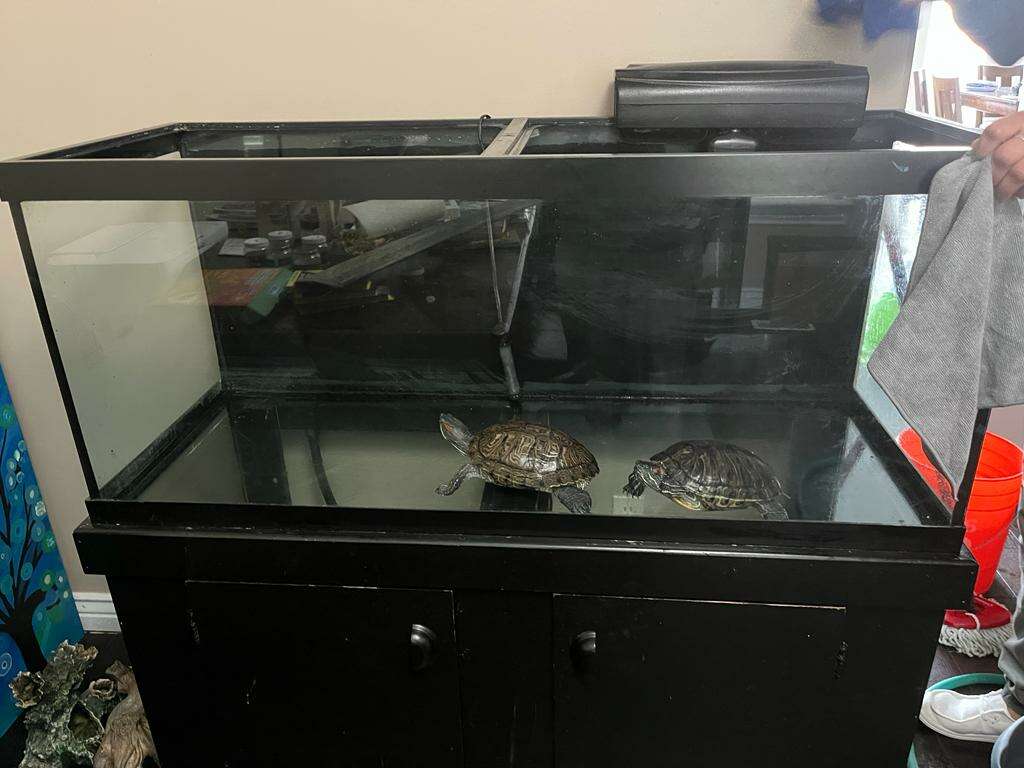 70 Gallons Fish Tank with Stand Pets