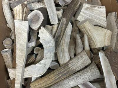 Antler Scrap