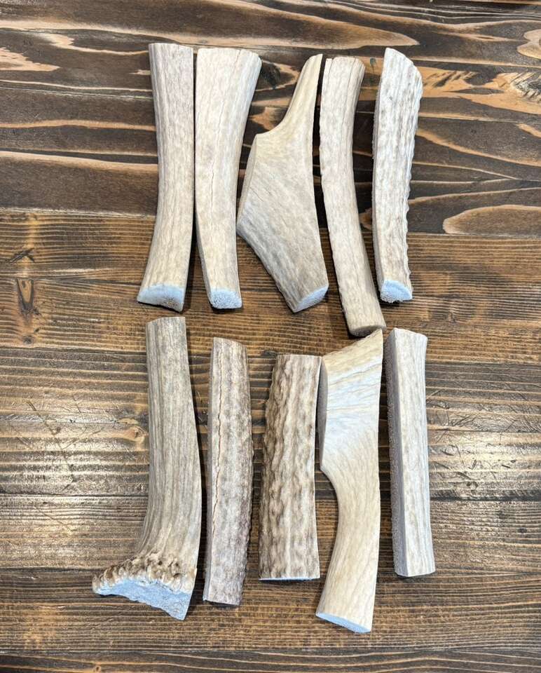 10 Pack Economy (B/C Grade) Antlers