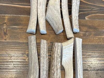 10 Pack Economy (B/C Grade) Antlers
