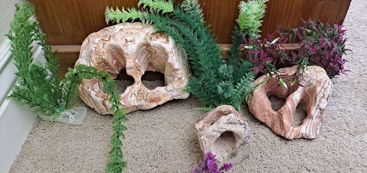 Aquarium decorations