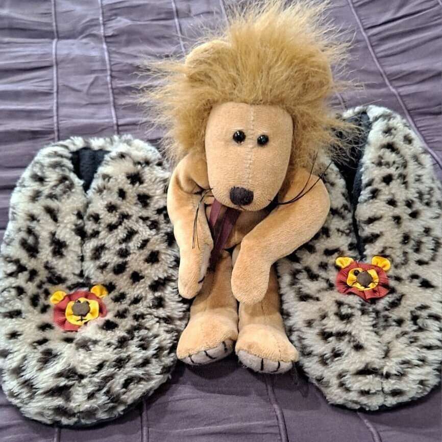 Kids Lion Slippers Size 2-3 and Leo the Lion