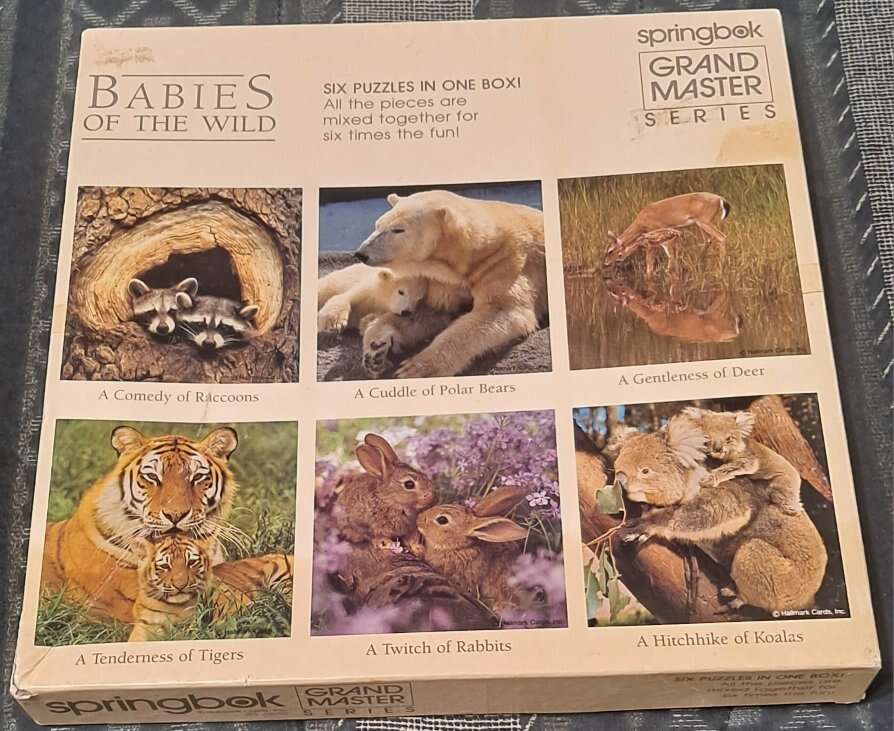 6 Puzzles in One Box