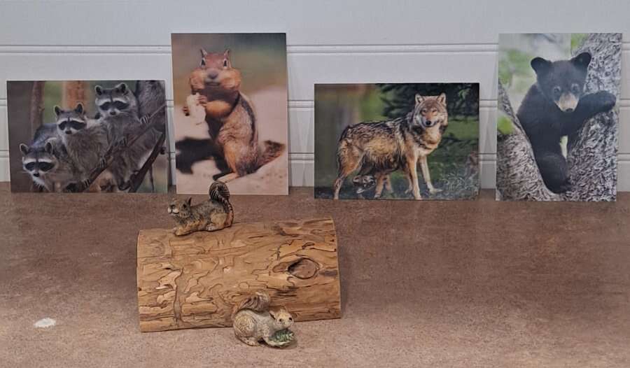 New 3D Postcards. Hidden Drawer Log and Squirrals