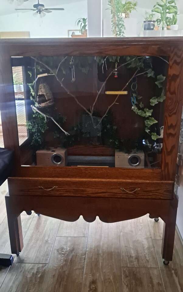 Critter Cage or Bird Cage