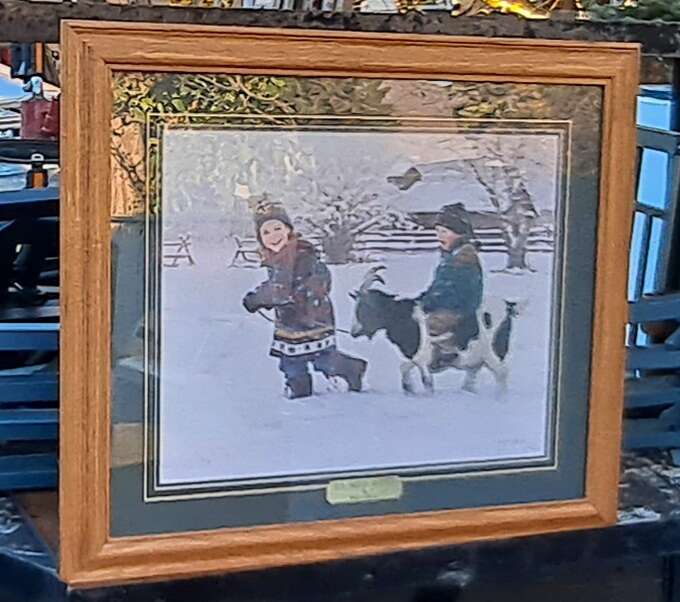 Framed Picture