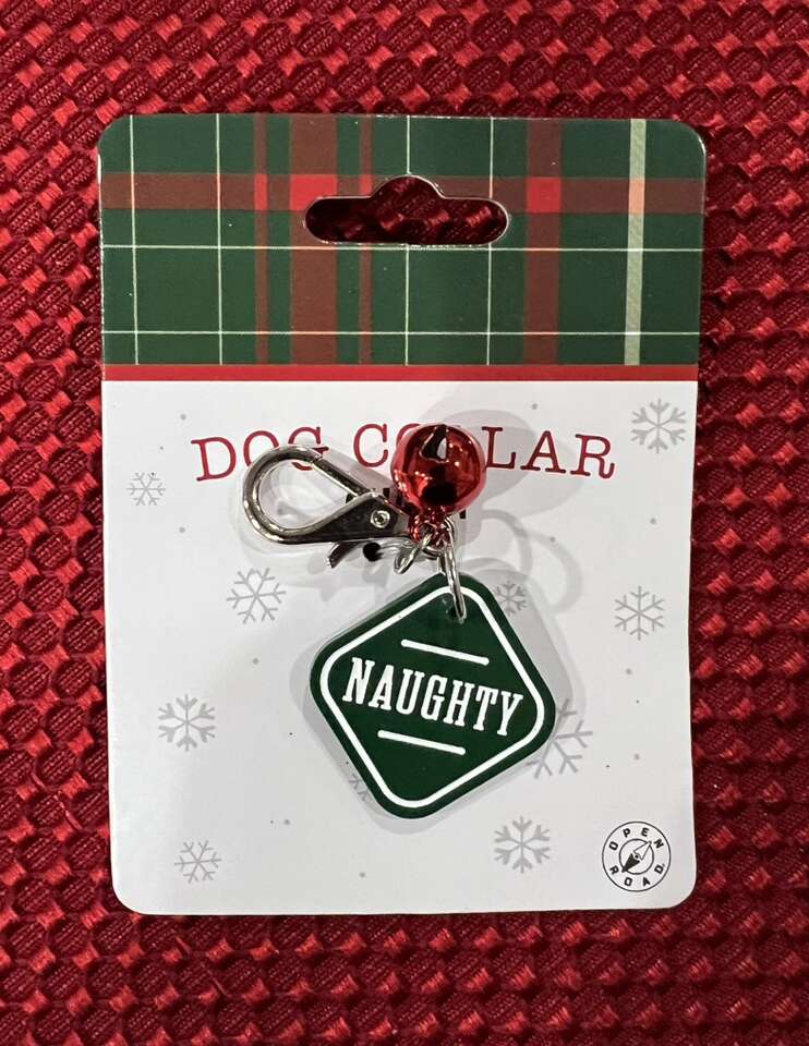 Dog Collar Charm “Naughty”