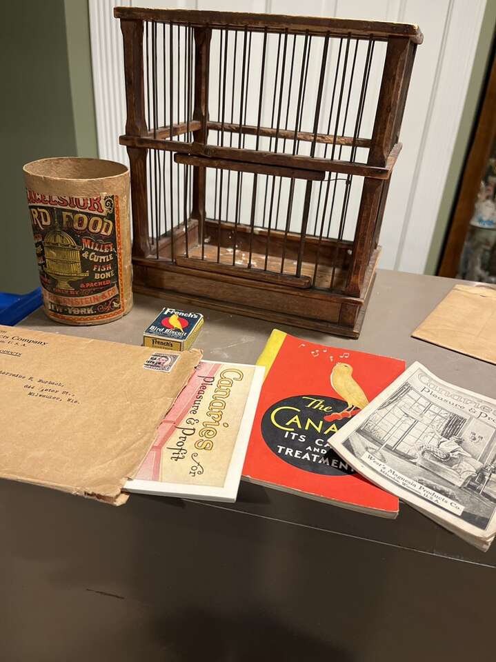 Antique 1920S Canary Bird Collection