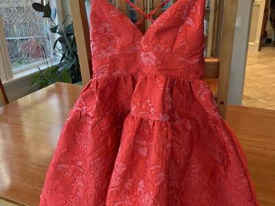 Selfie Leslie Red Dress