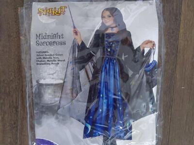 Spirit Halloween Costume Midnight Sorceress L