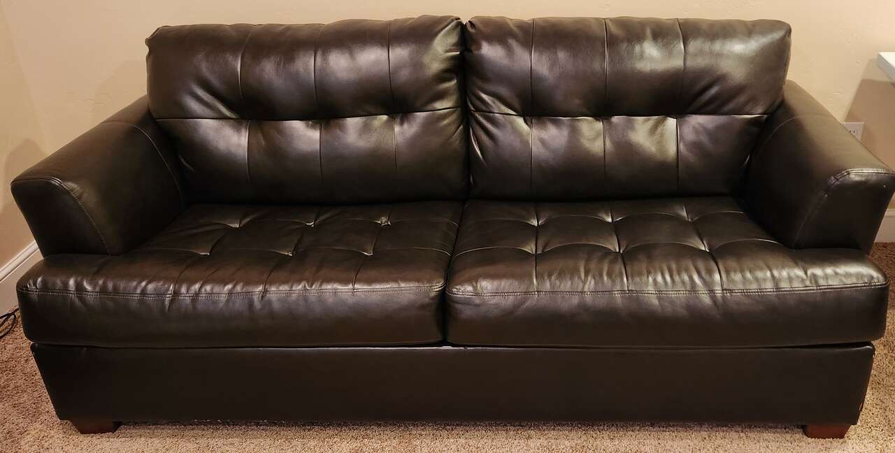 Bonded Leather Sleeper Couch Furniture